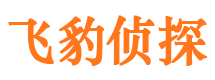 清流市侦探调查公司